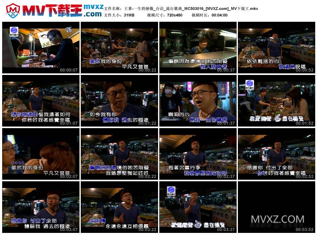 王莱-一生的骄傲_台语_流行歌曲_MC503016